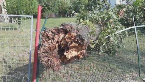 OLUJA IŠČUPALA DRVO U VRČINU: Vetar oborio stablo, potpuno razbilo ogradu kuće (VIDEO) OLUJA IŠČUPALA DRVO U VRČINU: Vetar oborio stablo, potpuno razbilo ogradu kuće (VIDEO)