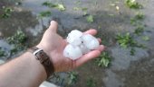 LED RAZBIJAO SVE PRED SOBOM, VETAR ČUPAO DRVEĆE: Nezapamćeno nevreme u kraljevačkom kraju, grad kao kokošije jaje (FOTO)