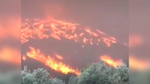 VATRENI TORNADO SNIMLJEN U GRČKOJ: Plamen progutao brdo, neverovatan prizor na Rodosu (VIDEO) VATRENI TORNADO SNIMLJEN U GRČKOJ: Plamen progutao brdo, neverovatan prizor na Rodosu (VIDEO)