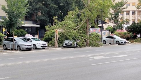 GRADONAČELNIK NOVOG SADA SASTAO SE SA V. D. DIREKTORA ELEKTRODISTRIBUCIJE SRBIJE: Pojačan rad na vraćanju napajanja strujom GRADONAČELNIK NOVOG SADA SASTAO SE SA V. D. DIREKTORA ELEKTRODISTRIBUCIJE SRBIJE: Pojačan rad na vraćanju napajanja strujom
