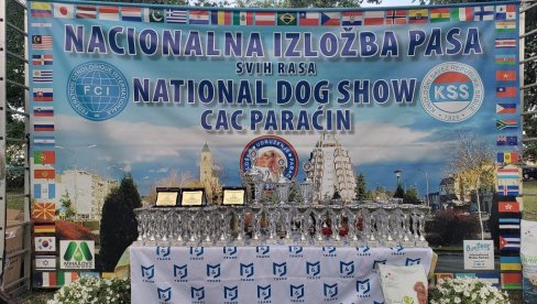 NACIONALNA IZLOŽBA PASA: Danas u Paraćinu kod Hale sportova (FOTO) NACIONALNA IZLOŽBA PASA: Danas u Paraćinu kod Hale sportova (FOTO)