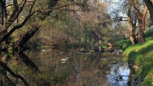 PRIMETILI DA GA NEMA, TELO NAŠLI NA DNU LITICE: Detalji pogibije muškarca na Gradcu PRIMETILI DA GA NEMA, TELO NAŠLI NA DNU LITICE: Detalji pogibije muškarca na Gradcu