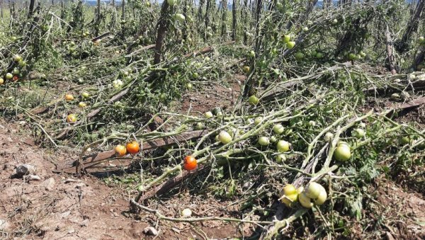 АПЕЛ ЗА ГРАЂАНЕ: Пријава штете од невремена за мештане општине Сечањ