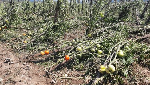 АПЕЛ ЗА ГРАЂАНЕ: Пријава штете од невремена за мештане општине Сечањ