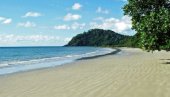 ОТРОВНА НЕМАН ИСПЛИВАЛА ИЗ МОРА: Мештани шокирани, стручњаци се хитно огласили (ФОТО) ОТРОВНА НЕМАН ИСПЛИВАЛА ИЗ МОРА: Мештани шокирани, стручњаци се хитно огласили (ФОТО)