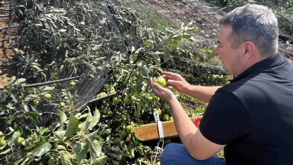 ДО КОРЕНА ЈЕ СВЕ УБИЈЕНО! После два налета олује њиве широм Србије изгледају сабласно (ФОТО) ДО КОРЕНА ЈЕ СВЕ УБИЈЕНО! После два налета олује њиве широм Србије изгледају сабласно (ФОТО)