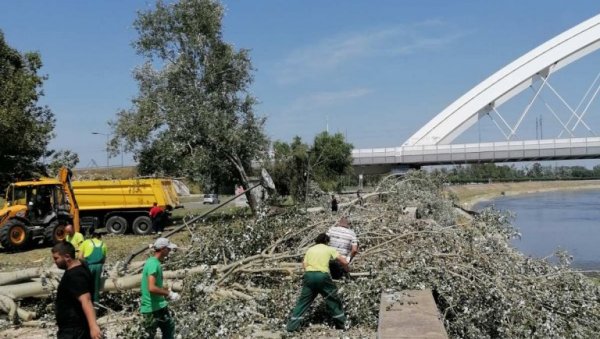 ПОЛОМЉЕНО ДРВЕЋЕ И ГРАЊЕ ОДНЕЛИ СА 147 ЛОКАЦИЈА: Запослени Градског зеленила у Новом Саду имају пуно посла због невремена ПОЛОМЉЕНО ДРВЕЋЕ И ГРАЊЕ ОДНЕЛИ СА 147 ЛОКАЦИЈА: Запослени Градског зеленила у Новом Саду имају пуно посла због невремена