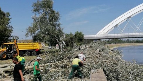 ПОЛОМЉЕНО ДРВЕЋЕ И ГРАЊЕ ОДНЕЛИ СА 147 ЛОКАЦИЈА:  Запослени Градског зеленила у Новом Саду имају пуно посла због невремена