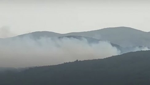 BUKTI ŠUMSKI POŽAR KOD PIROTA: Vatrogasci se bore sa vatrenom stihijom (VIDEO) BUKTI ŠUMSKI POŽAR KOD PIROTA: Vatrogasci se bore sa vatrenom stihijom (VIDEO)