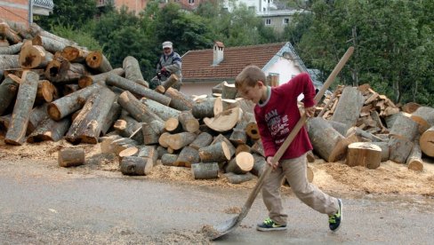 14.000 DECE MLAĐE OD 14 GODINA ANGAŽOVANO NA OPASNIM POSLOVIMA: Prva Nacionalna anketa o zloupotrebi dečjeg rada pokazala frapantne podatke 14.000 DECE MLAĐE OD 14 GODINA ANGAŽOVANO NA OPASNIM POSLOVIMA: Prva Nacionalna anketa o zloupotrebi dečjeg rada pokazala frapantne podatke