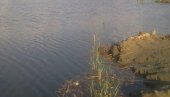 УЖАС КОД ЗРЕЊАНИНА: Извучено тело, сумња се да је реч о несталом мушкарцу УЖАС КОД ЗРЕЊАНИНА: Извучено тело, сумња се да је реч о несталом мушкарцу