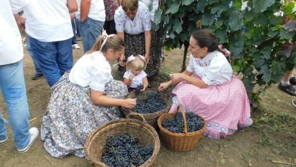 ТРИ ДАНА СЛАВЕ У МЕСТУ АРАДАЦ: Традиционална манифестација од 28. јула