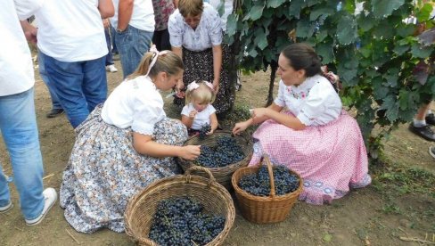 TRI DANA SLAVE U MESTU ARADAC: Tradicionalna manifestacija od 28. jula