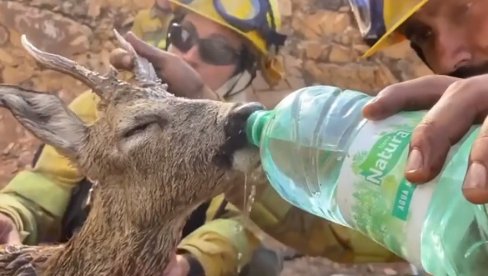 IMA NADE ZA NAS: Potresne fotografije iz Grčke pokazuju kolika je ljudska humanost (FOTO/VIDEO)