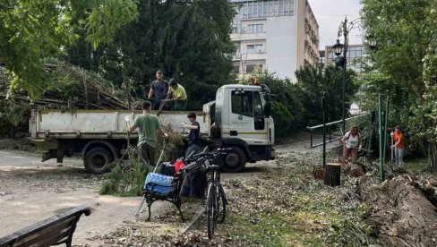 ЗА ДЕВЕТ ДАНА, 2.099 ИНТЕРВЕНЦИЈА : „Градско зеленило“ у Новом Саду отклања последице стравичног невремена