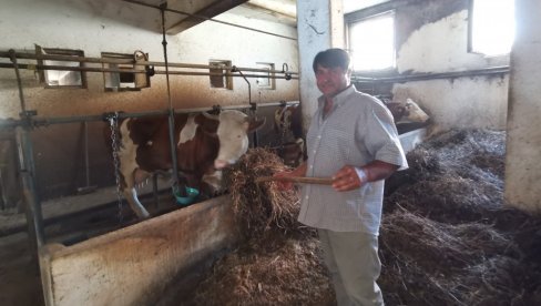 SLAĐA NJIVA OD PEČALBE: Ostavili Austriju da bi obrađivali rodnu grudu SLAĐA NJIVA OD PEČALBE: Ostavili Austriju da bi obrađivali rodnu grudu