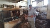 SLAĐA NJIVA OD PEČALBE: Ostavili Austriju da bi obrađivali rodnu grudu SLAĐA NJIVA OD PEČALBE: Ostavili Austriju da bi obrađivali rodnu grudu