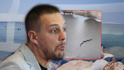 PAKAO! Bikoviću upala zmija na letovanju u Grčkoj: Šta da je nisam video? (FOTO) PAKAO! Bikoviću upala zmija na letovanju u Grčkoj: Šta da je nisam video? (FOTO)