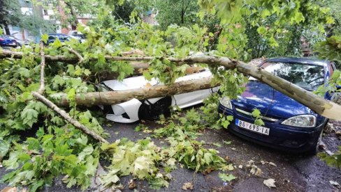 ČOVEKU PALO DRVO NA AUTOMOBIL TOKOM VOŽNJE: Na Novom Beogradu poplavljen kružni tok, saobraćaj stao ČOVEKU PALO DRVO NA AUTOMOBIL TOKOM VOŽNJE: Na Novom Beogradu poplavljen kružni tok, saobraćaj stao