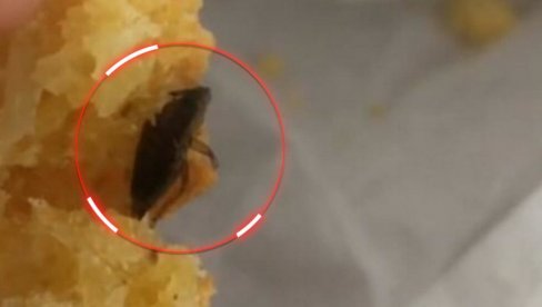 BUBA U PROJI: Srpkinja besna, u obroku pronašla pečenog insekta - u komentarima se nižu iskustva ljudi (FOTO) BUBA U PROJI: Srpkinja besna, u obroku pronašla pečenog insekta - u komentarima se nižu iskustva ljudi (FOTO)