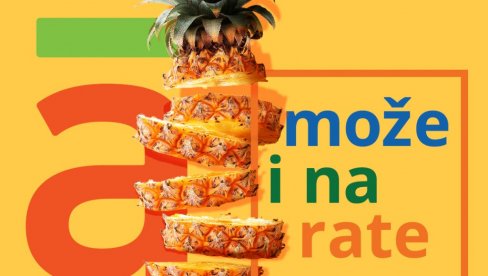 ANANAS-a NA RATE! A može i na firmu