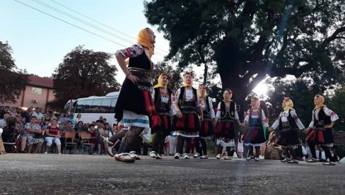 MIHOLJSKI SUSRETI SELA: Lubnica kod Zaječara ugostila čuvare tradicije (FOTO)