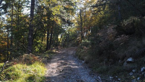 GOČ SE ZATRESAO DVA PUTA: Zemljotresi poviše Vrnjačke Banje (FOTO) GOČ SE ZATRESAO DVA PUTA: Zemljotresi poviše Vrnjačke Banje (FOTO)