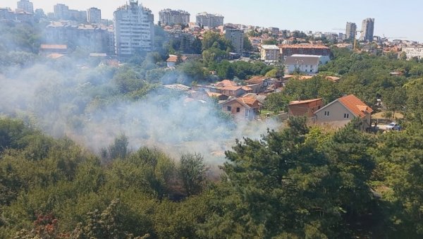 ПОЖАР НА ВОЖДОВЦУ: Жена запалила растиње на ливади, ватра се отргла контроли (ВИДЕО) ПОЖАР НА ВОЖДОВЦУ: Жена запалила растиње на ливади, ватра се отргла контроли (ВИДЕО)
