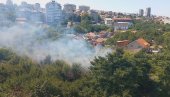 POŽAR NA VOŽDOVCU: Žena zapalila rastinje na livadi, vatra se otrgla kontroli (VIDEO) POŽAR NA VOŽDOVCU: Žena zapalila rastinje na livadi, vatra se otrgla kontroli (VIDEO)