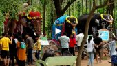 ИНДИЈА: Слонови окупани и украшени на прослави Светског дана слонова