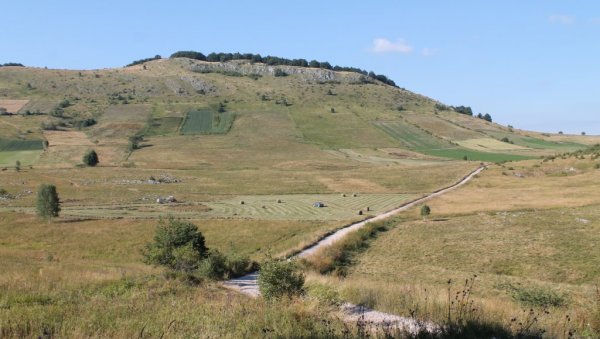 ЧЕМЕРНИЦЕ, ПУСТА МИ ОСТАЛА: Вапаји из села старовлашке планинезбог пута - Нигде чобанина и стада, напуштена огњишта зарастају у букве (ФОТО)