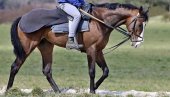 НЕ ПОБЕЂУЈЕ САМО ЈОКИЋ! И Ваљевци коња за трку имају НЕ ПОБЕЂУЈЕ САМО ЈОКИЋ! И Ваљевци коња за трку имају