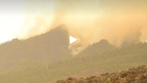 GORE TENERIFI: POŽARI UNIŠTILI STOTINE HEKTARA ŠUMA GORE TENERIFI: POŽARI UNIŠTILI STOTINE HEKTARA ŠUMA