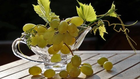 ЗА ВИНО ВРХУНСКОГ КВАЛИТЕТА: Ово су најбоље сорте грожђа за пијуцкање