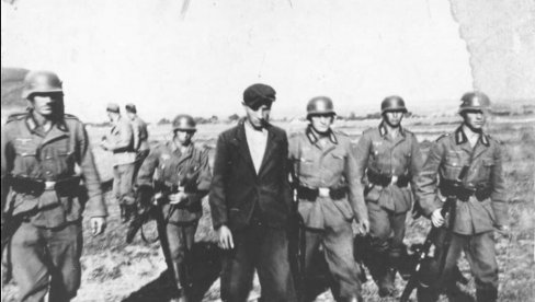 ВЕШАЛИ И СТРЕЉАЛИ И МАЛОЛЕТНИКЕ: Пре 82 године почела убиства родољуба у Крушевцу и Београду (ФОТО) ВЕШАЛИ И СТРЕЉАЛИ И МАЛОЛЕТНИКЕ: Пре 82 године почела убиства родољуба у Крушевцу и Београду (ФОТО)