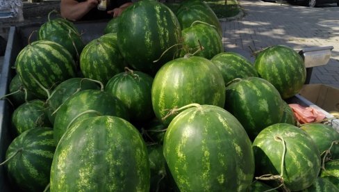 PARAĆINCI ŠKRTARE SA LUBENICAMA: Najviša cena koju plaćaju 300-400 dinara (FOTO)