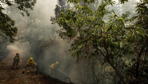 POŽAR NA OSTRVU TENERIFE: Policija istražuje slučaj, namerno je izazavan