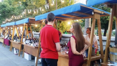 U PARAĆINU 8. „VINSKA PROMENADA“: Besplatna izložba i degustacija U PARAĆINU 8. „VINSKA PROMENADA“: Besplatna izložba i degustacija