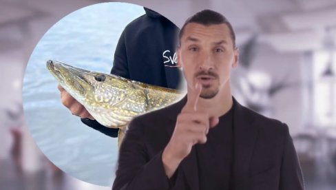 ИБРА МАЈСТОР: Видите колику штуку је упецао! А да је врати предатора назад? (ФОТО) ИБРА МАЈСТОР: Видите колику штуку је упецао! А да је врати предатора назад? (ФОТО)