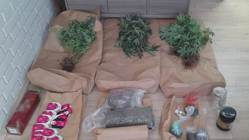 IMPROVIZOVANA LABORATORIJA U STANU: U Novom Sadu uhapšen D. K. (38) osumnjičen za neovlašćenu proizvodnju droge IMPROVIZOVANA LABORATORIJA U STANU: U Novom Sadu uhapšen D. K. (38) osumnjičen za neovlašćenu proizvodnju droge