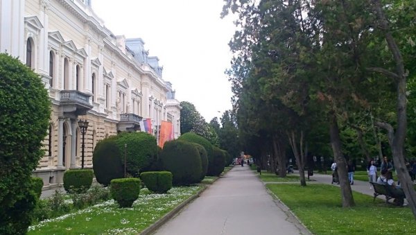ВАНРЕДНА СИТУАЦИЈА У ПОЖАРЕВЦУ: Штаб донео одлуку због афричке куге свиња ВАНРЕДНА СИТУАЦИЈА У ПОЖАРЕВЦУ: Штаб донео одлуку због афричке куге свиња