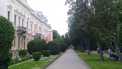 VANREDNA SITUACIJA U POŽAREVCU: Štab doneo odluku zbog afričke kuge svinja