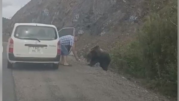 САМО У РУСИЈИ: Зауставио аутомобил поред пута како би нахранио медведа (ВИДЕО) САМО У РУСИЈИ: Зауставио аутомобил поред пута како би нахранио медведа (ВИДЕО)