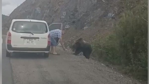 САМО У РУСИЈИ: Зауставио аутомобил поред пута како би нахранио медведа (ВИДЕО)