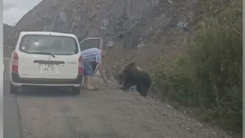 SAMO U RUSIJI: Zaustavio automobil pored puta kako bi nahranio medveda (VIDEO)