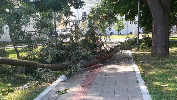 ДО 11. СЕПТЕМБРА: У Пожаревцу пријава штете од јулског невремена ДО 11. СЕПТЕМБРА: У Пожаревцу пријава штете од јулског невремена