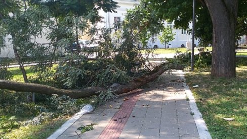 DO 11. SEPTEMBRA: U Požarevcu prijava štete od julskog nevremena DO 11. SEPTEMBRA: U Požarevcu prijava štete od julskog nevremena