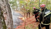 СРПСКИ ВАТРОГАСЦИ У СЕЛУ ЈАНУЛИ: Помажу грчким колегама у борби са ватреном стихијом (ФОТО)