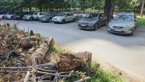 IZ LETA U ZIMU: Dramatičan pad temperature izazvao mnogobrojne probleme u Beogradu IZ LETA U ZIMU: Dramatičan pad temperature izazvao mnogobrojne probleme u Beogradu