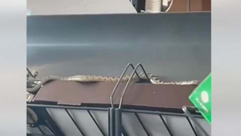 I ONA ČEKA RED ZA KASU: LJudi ostali šokirani prizorom u tržnom centru u Šibeniku (VIDEO) I ONA ČEKA RED ZA KASU: LJudi ostali šokirani prizorom u tržnom centru u Šibeniku (VIDEO)